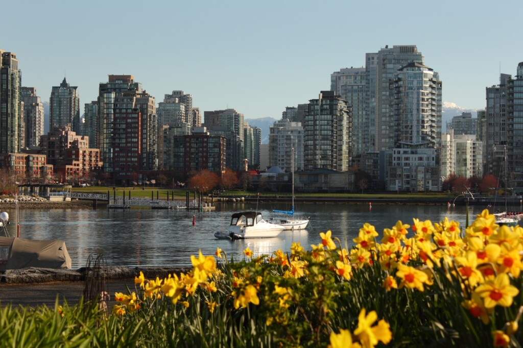 Buildings across a body of water