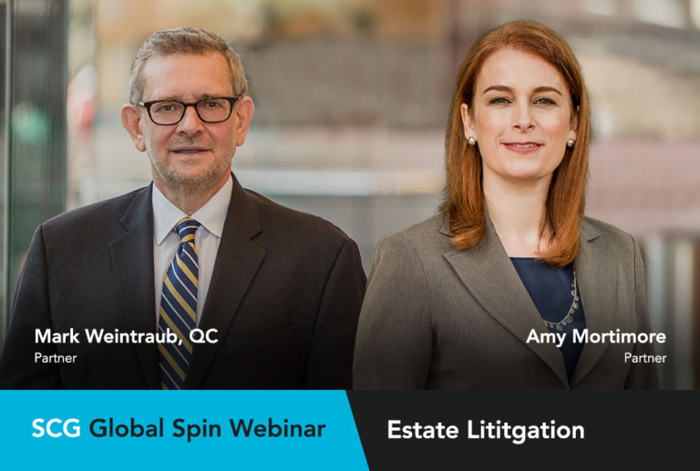 Estate litigation webinar