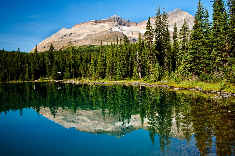 Lake in front of mountains